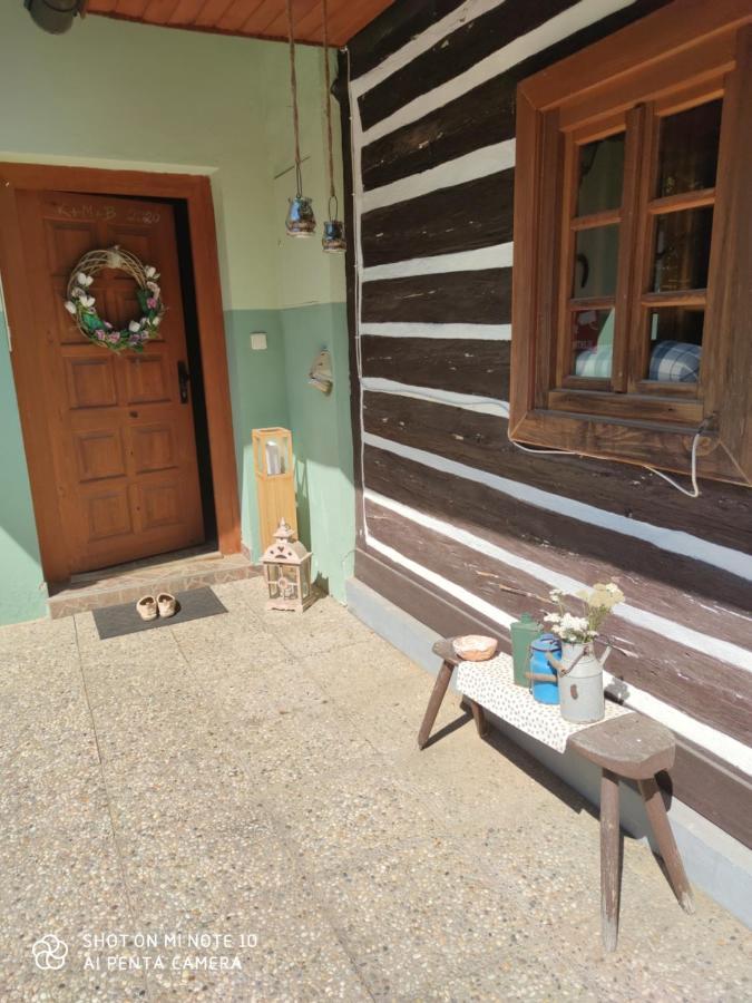 Holiday Home U Rysavych Busin Екстер'єр фото